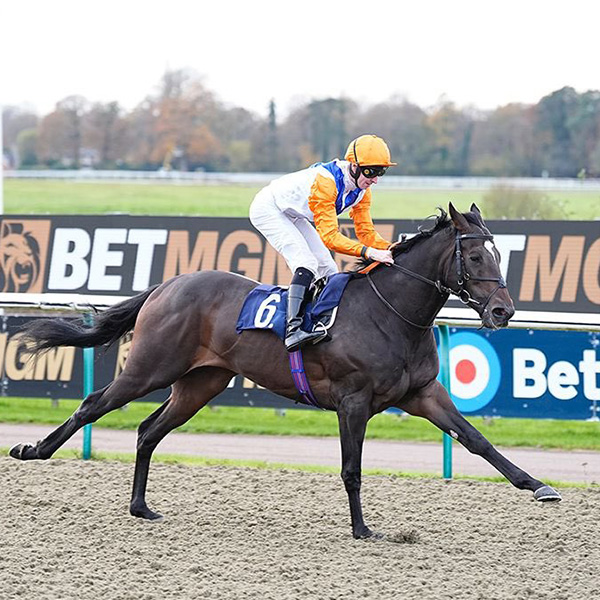 Our Horses In Training