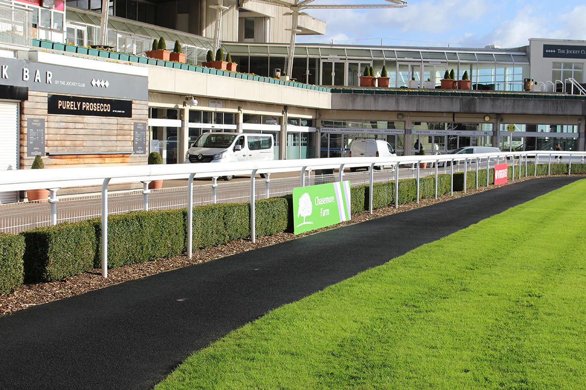 parade ring blog