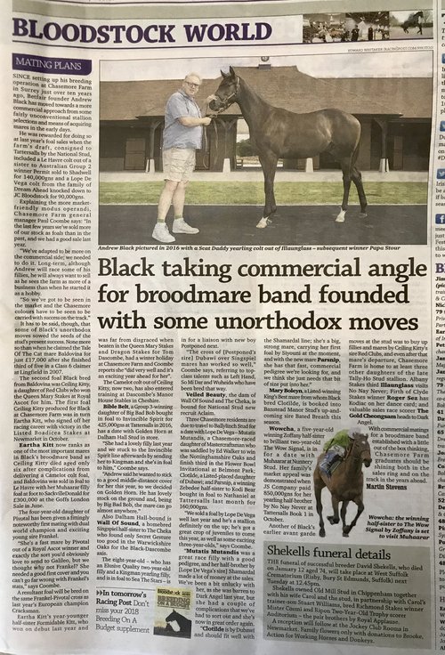 Racing-Post-Bloodstock-29th-January-2018