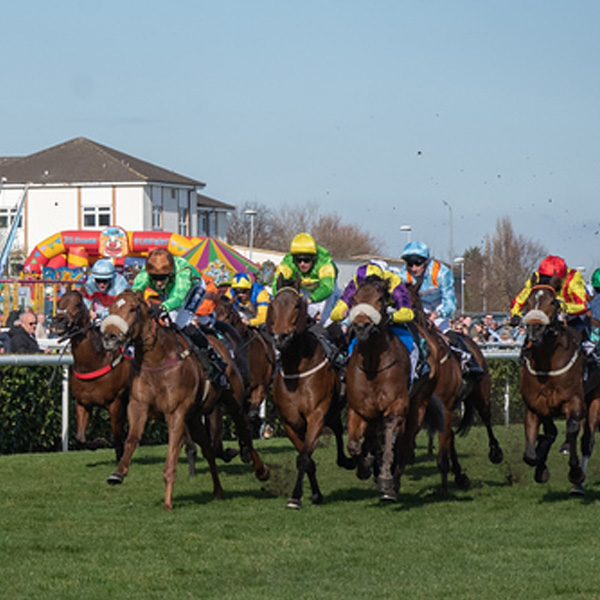 Our Horses In Training