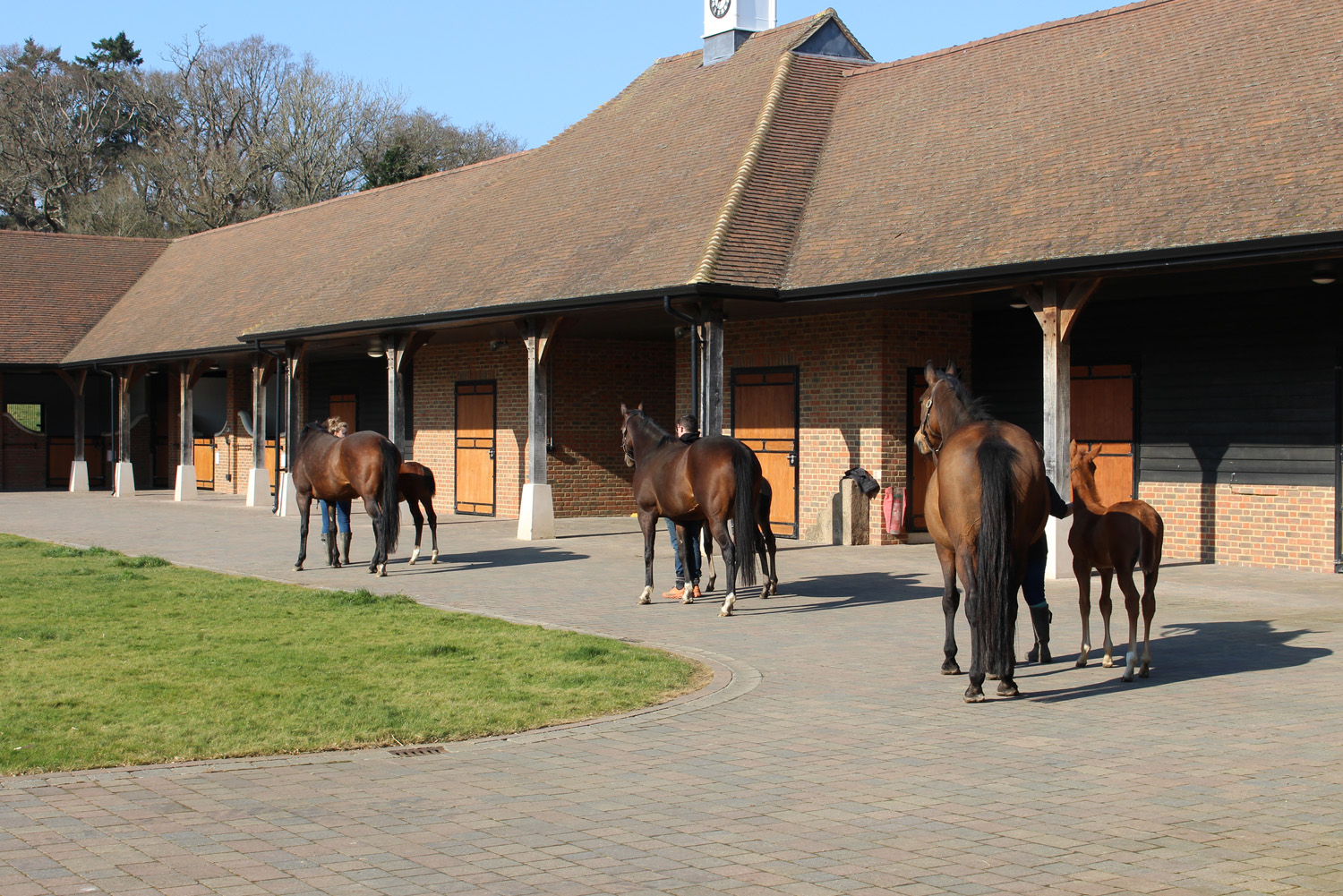 Chasemore Farm Gallery