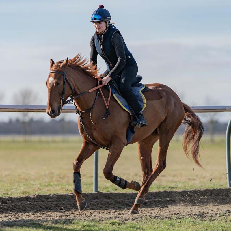 chasemore-farm-bred-two-year-olds-five-to-follow