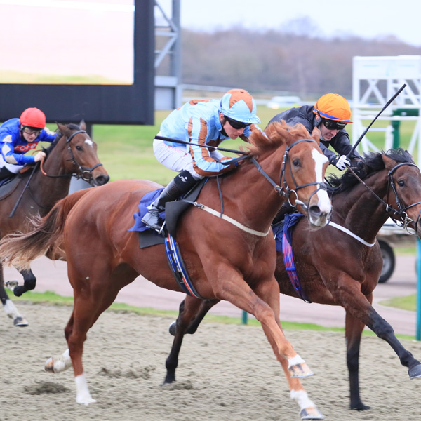 Our Horses In Training