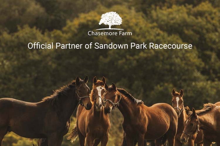 Featured image for “Chasemore Farm Continues as Official Partner for Sandown Park in 2024”